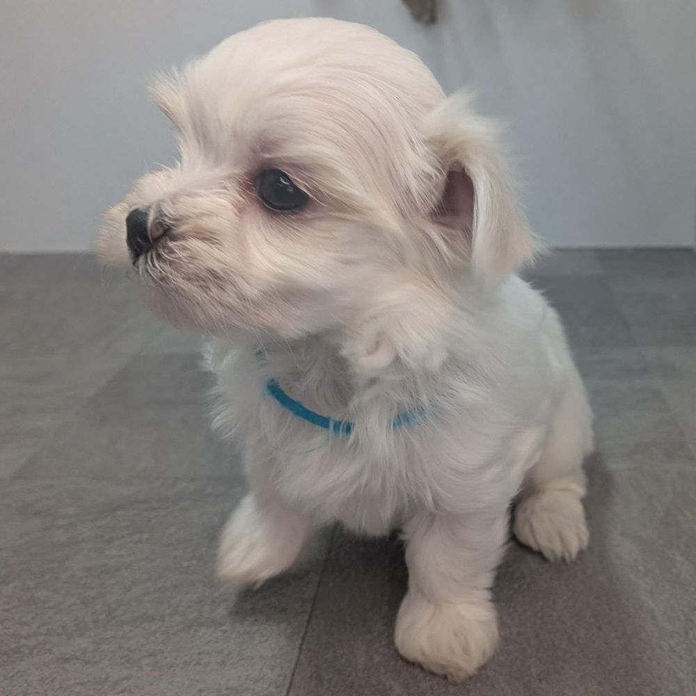 2342906d-60e1-4fa5-a915-06446fdbd313